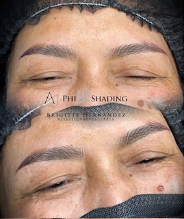 Modern Powder Technique